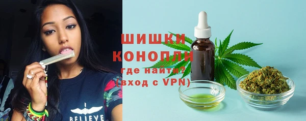 соль ск Волоколамск