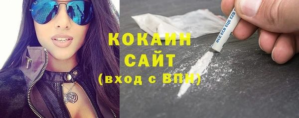 индика Бикин