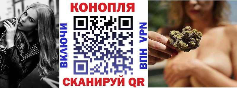 omg вход  Вытегра  Каннабис планчик 
